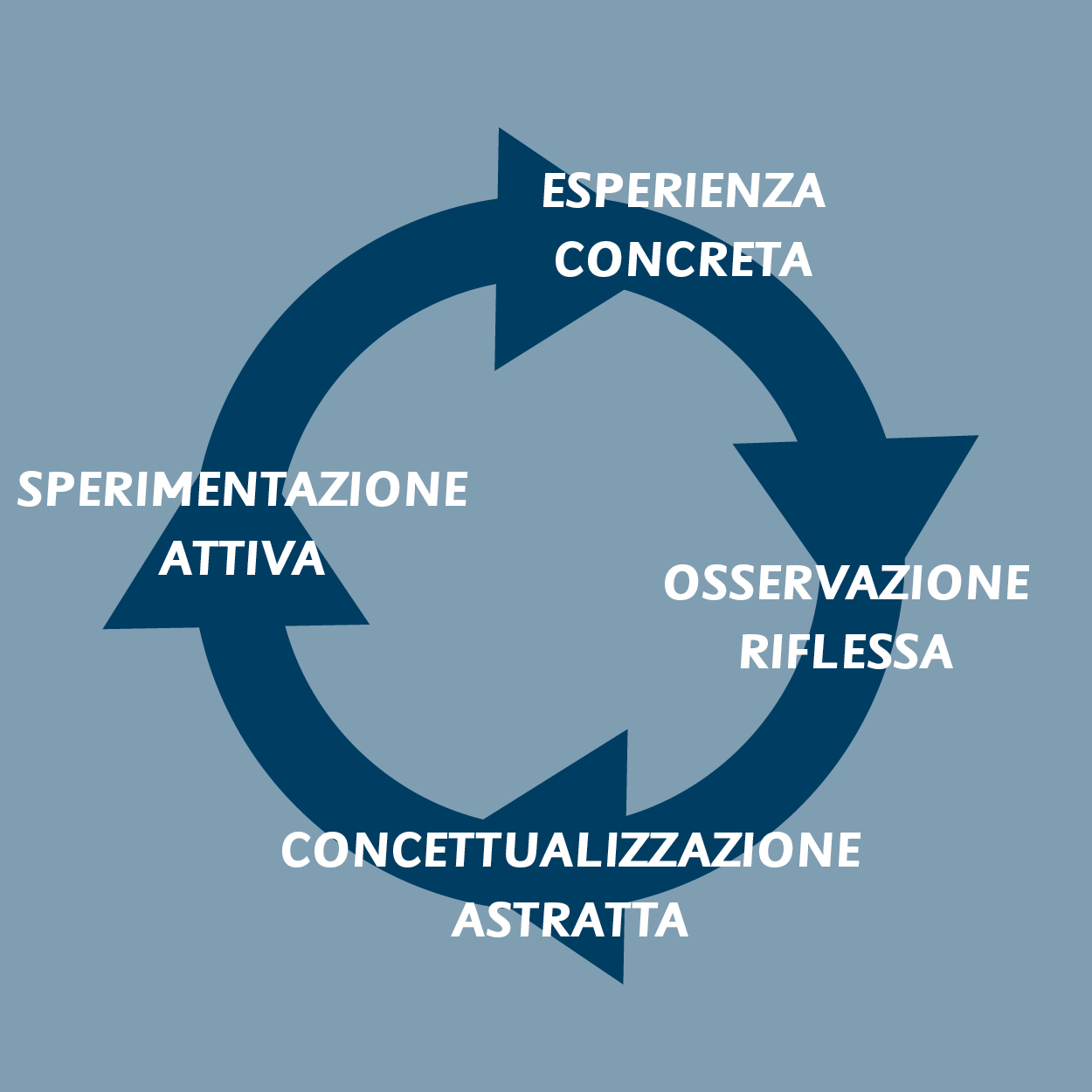 Cos'è la formazione esperienziale - il ciclo di Kolb