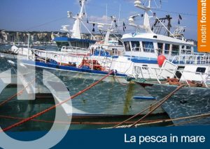 Format per formazione esperienziale: La pesca in mare