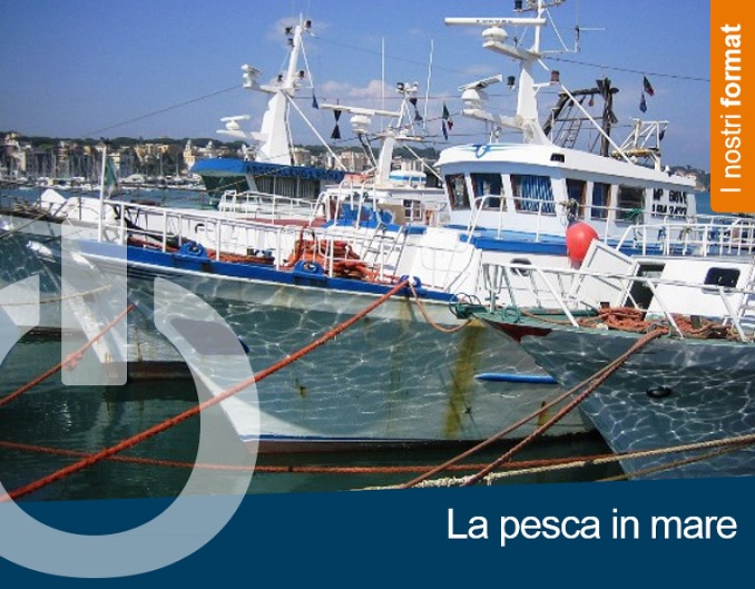 Format per formazione esperienziale: La pesca in mare