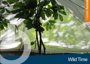 Wild Time - soft survival - team building immersi nella natura